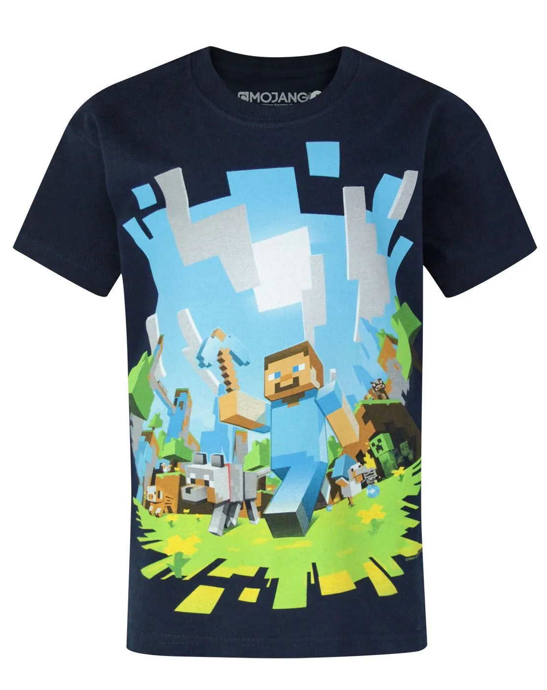 Minecraft Boys Blue Short Sleeved T-Shirt