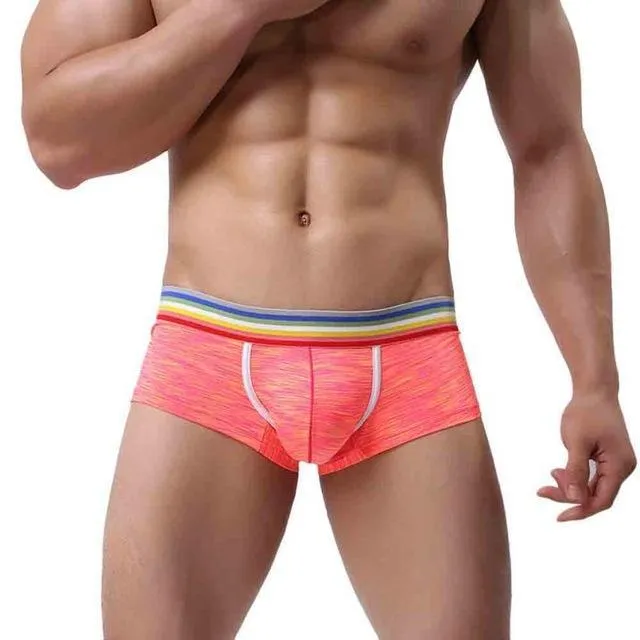 Rainbow Band Mesh Square Cut Boxer Briefs