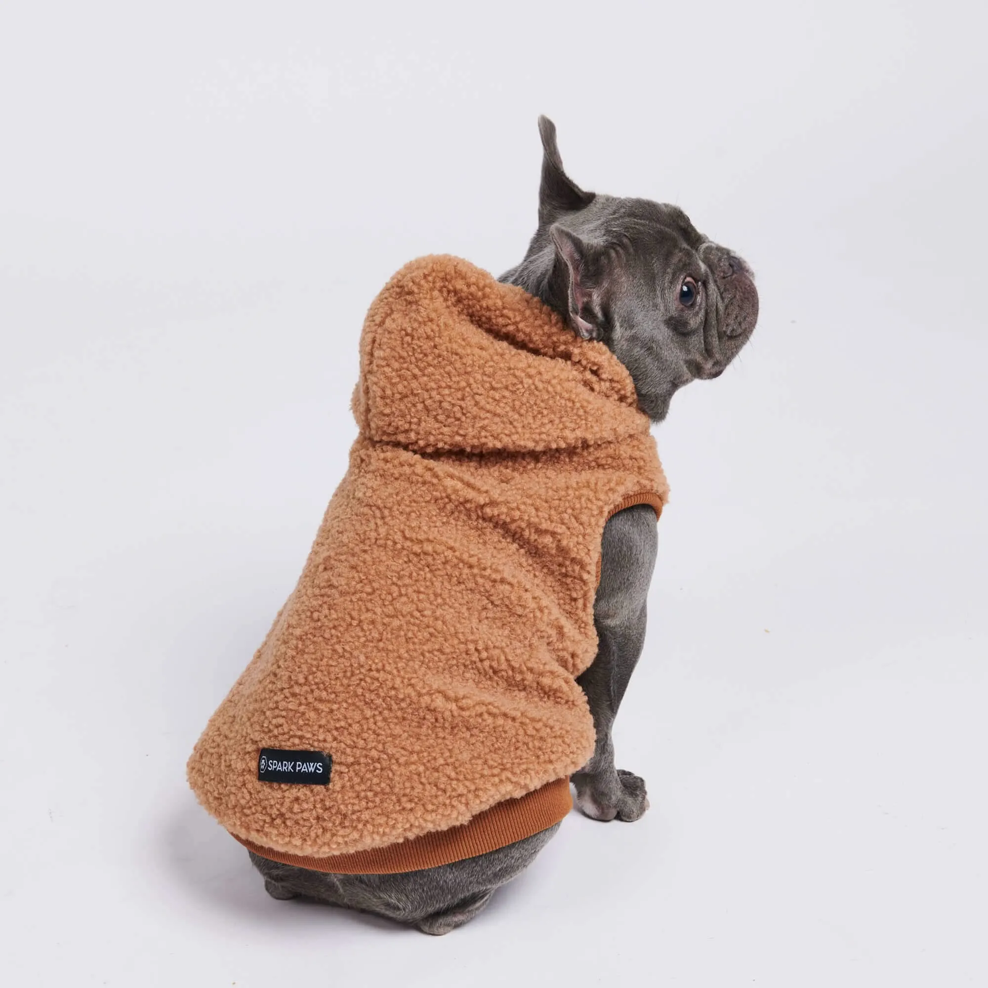 Teddy Sherpa Dog Jackets