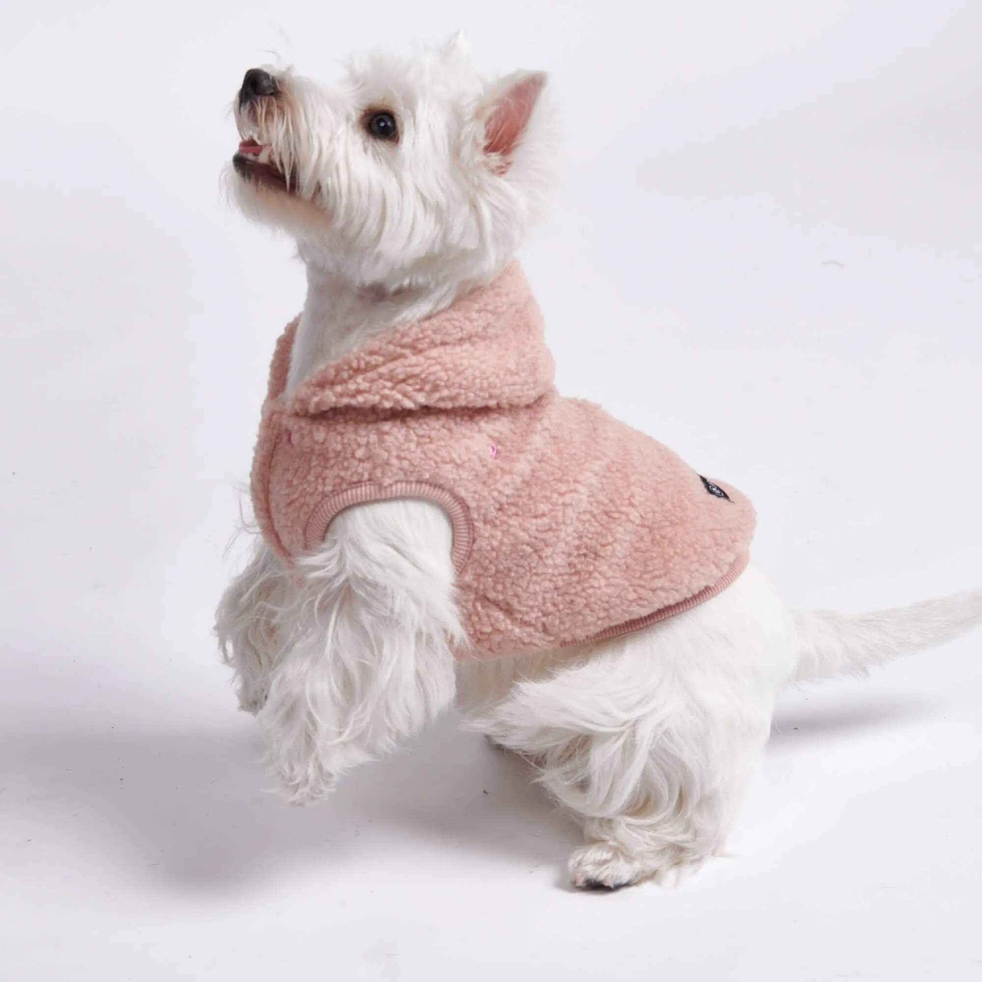 Teddy Sherpa Dog Jackets