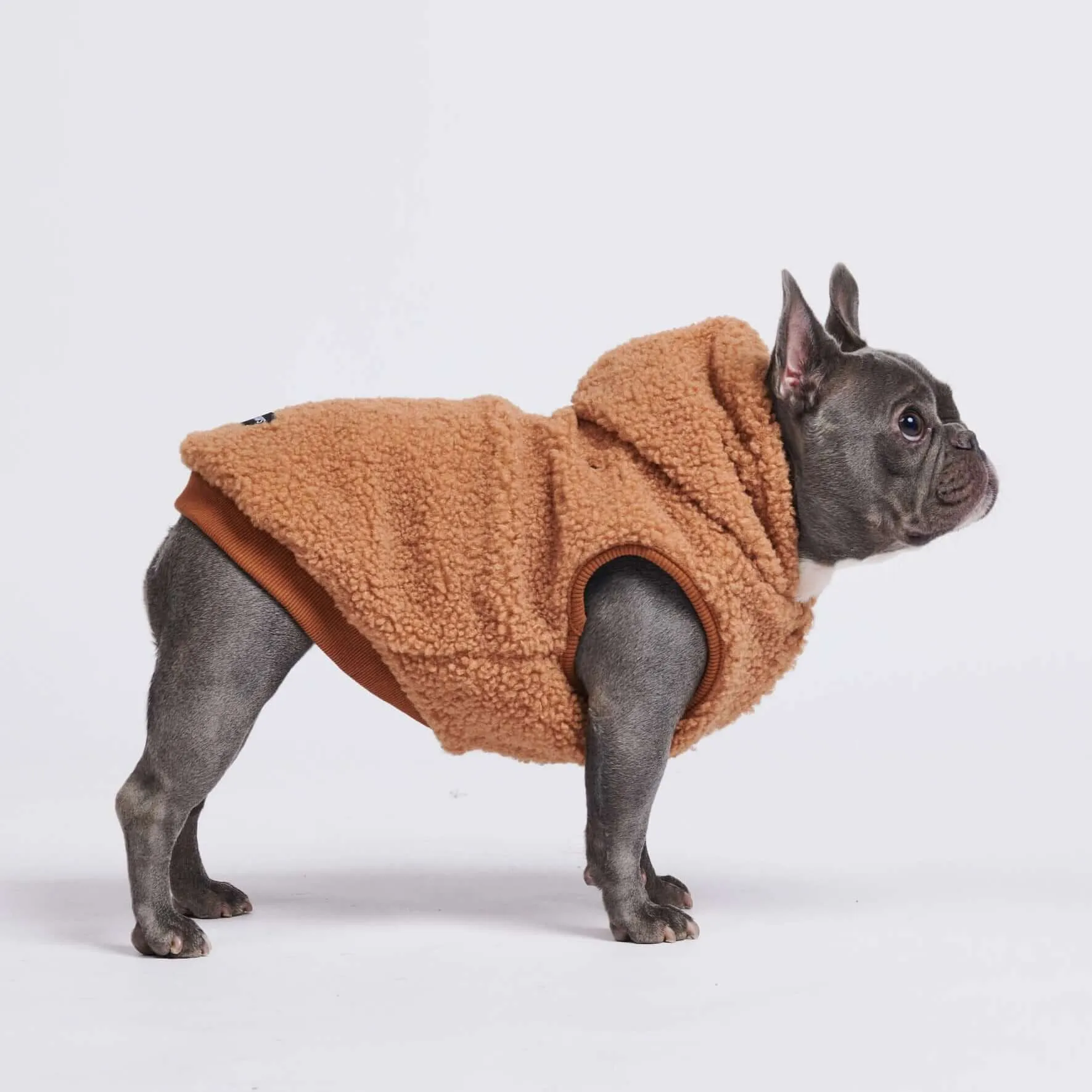 Teddy Sherpa Dog Jackets